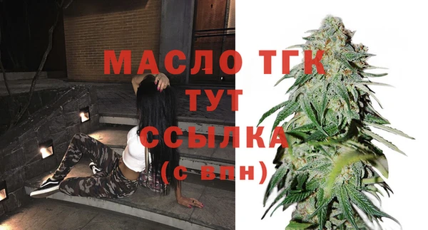 ECSTASY Богородицк